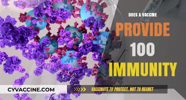 Do Vaccines Guarantee Full Immunity? Understanding Protection Levels