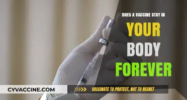 Vaccines: Do They Stay in Our Bodies?