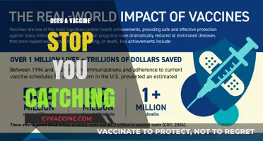 Vaccines and Infection: Can They Prevent You from Catching Illnesses?