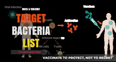Do Vaccines Target Bacteria? Understanding Their Role in Immunity