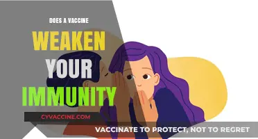 Vaccines and Immunity: Debunking Myths About Weakened Immune Systems
