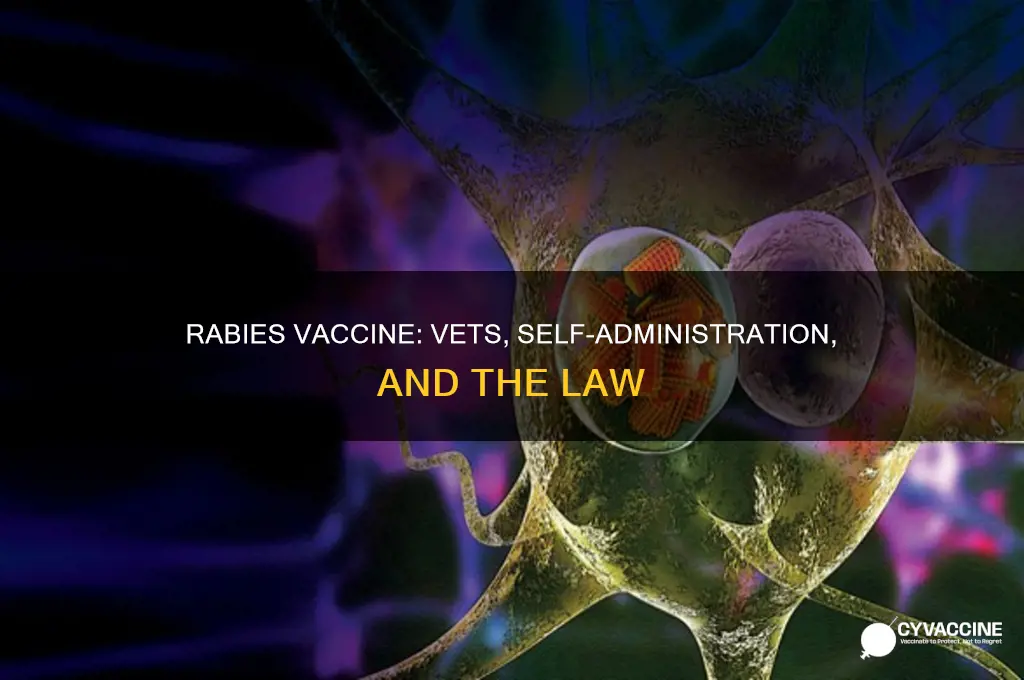 does a vet have to administer a rabies vaccine