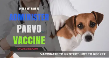 Vets and Parvo: Who Should Administer the Vaccine?