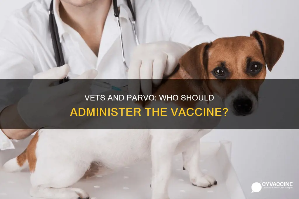 does a vet have to administer parvo vaccine
