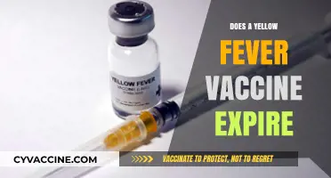 Does Your Yellow Fever Vaccine Expire? What Travelers Need to Know
