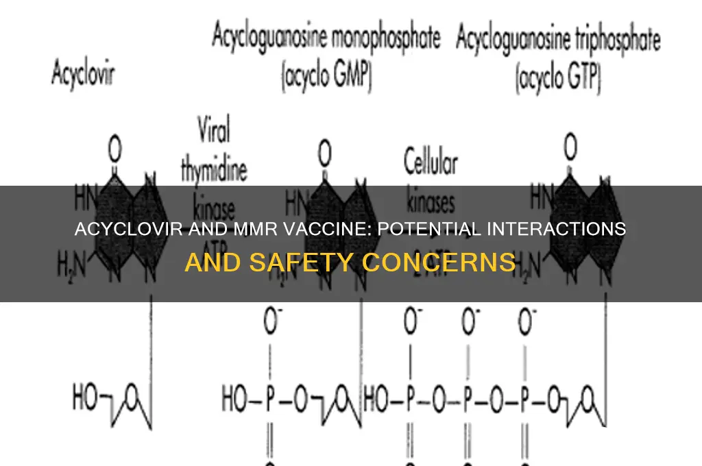 does acyclovir interfere with mmr vaccine