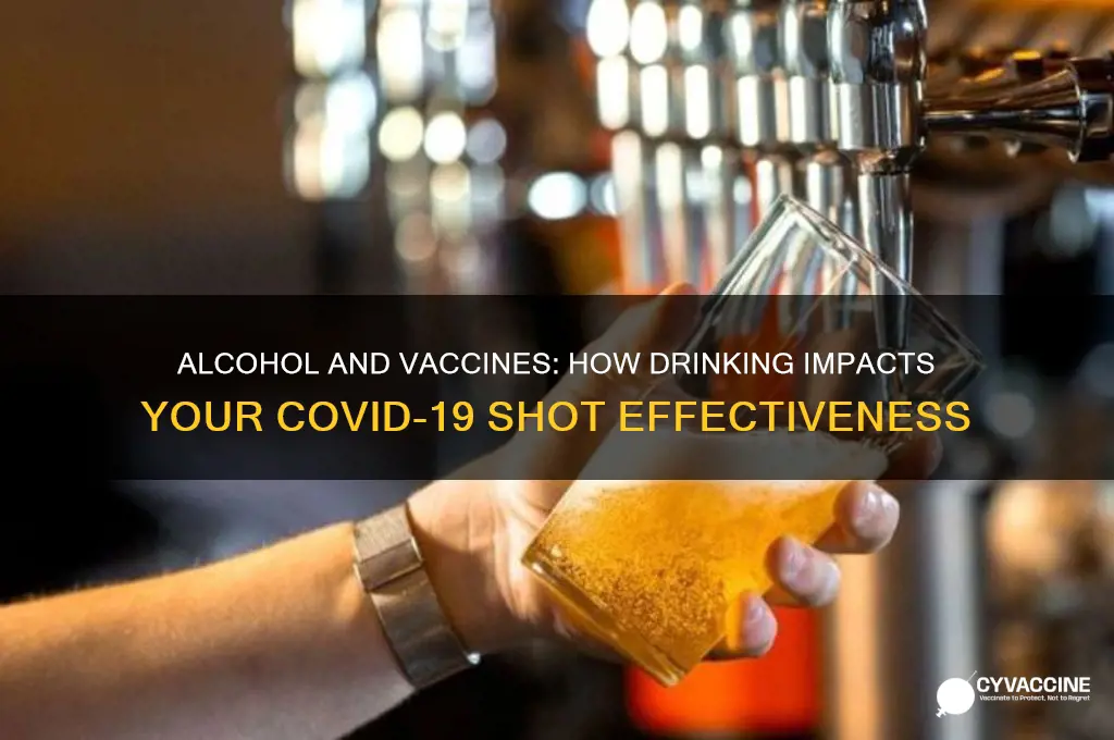 does alcohol affect the vaccine shot