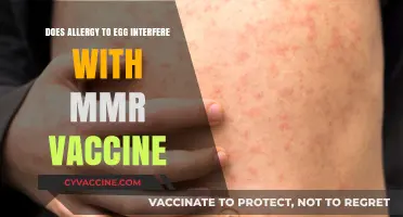 Egg Allergy and MMR Vaccine: What's the Link?