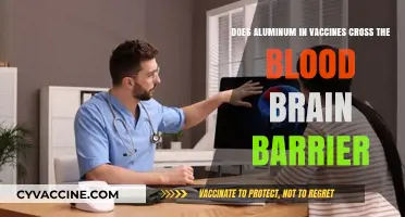 Aluminum in Vaccines: Can It Cross the Blood-Brain Barrier?