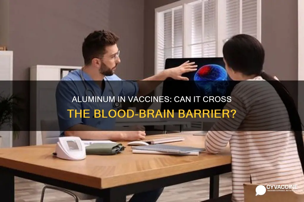 does aluminum in vaccines cross the blood brain barrier
