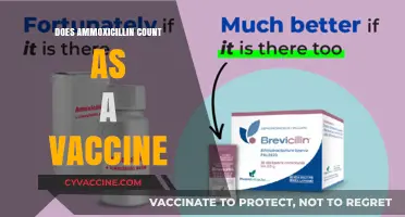 Amoxicillin vs. Vaccines: Understanding the Difference and Purpose
