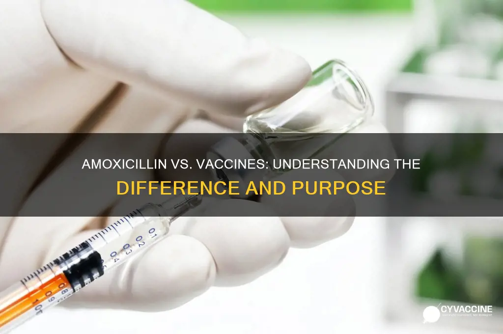 does ammoxicillin count as a vaccine