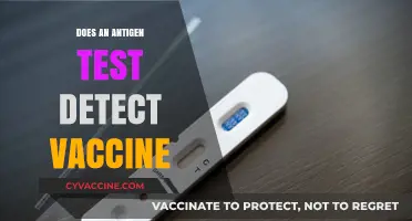 Can Antigen Tests Detect COVID-19 Vaccines? Unraveling the Truth
