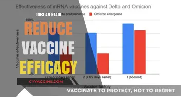 Can NSAIDs Impact Vaccine Effectiveness? Exploring the Evidence and Risks
