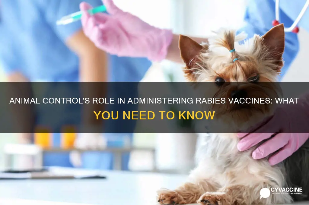 does animal control do rabies vaccines