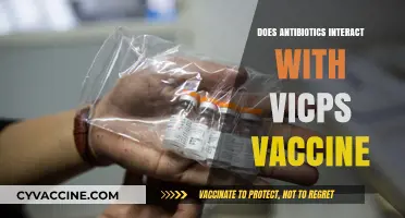 Antibiotics and VICPS Vaccine: Potential Interactions and Safety Concerns