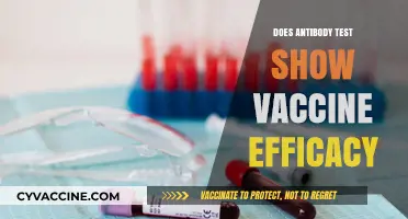 Does Antibody Testing Accurately Measure COVID-19 Vaccine Effectiveness?