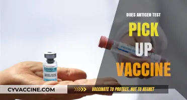 Can Antigen Tests Detect COVID-19 Vaccination Status Accurately?