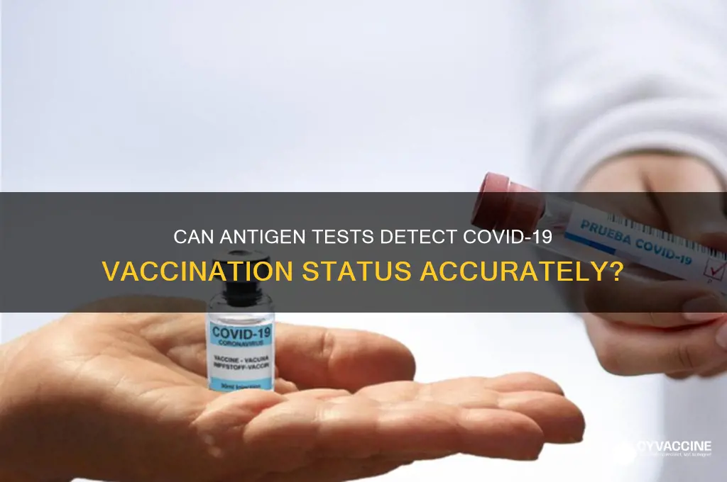 does antigen test pick up vaccine