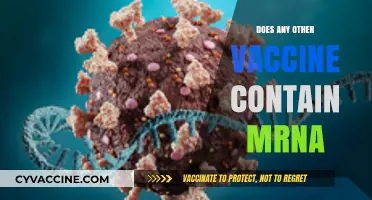 Do Other Vaccines Use mRNA Technology? Exploring Beyond COVID-19 Shots