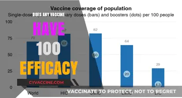 Do Vaccines Ever Reach 100% Efficacy? Exploring the Limits
