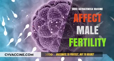 AstraZeneca Vaccine and Male Fertility: Separating Facts from Fiction