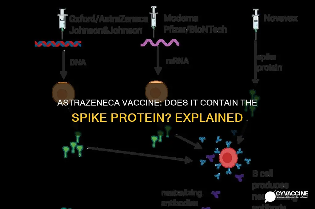 does astrazeneca vaccine have spike protein