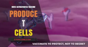 AstraZeneca Vaccine's T-Cell Response: Unlocking Long-Term Immunity Potential