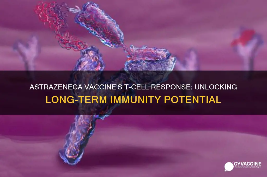 does astrazeneca vaccine produce t cells