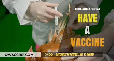 Avian Influenza Vaccine: Current Status and Future Prospects