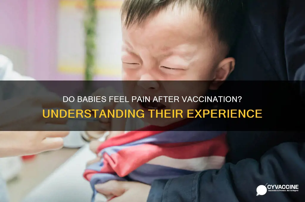 does baby feel pain after vaccination
