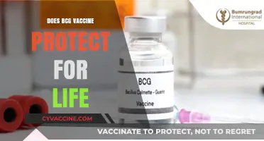 BCG Vaccine: Lifelong Immunity or Limited Protection? What You Need to Know