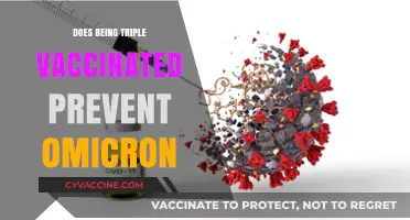 Triple Vaccinated: Does It Shield Against Omicron's Surge?