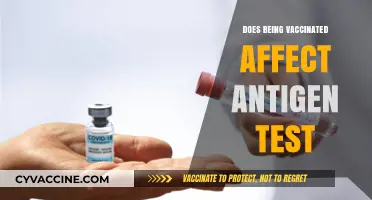 Vaccinated and Tested: How COVID-19 Vaccines Impact Antigen Test Results