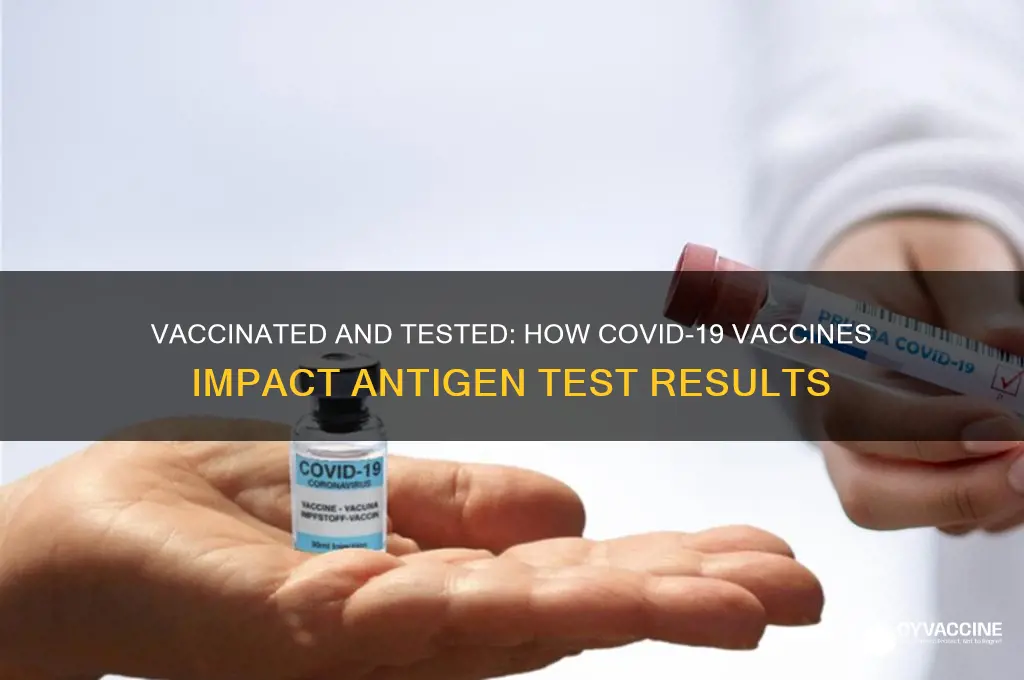 does being vaccinated affect antigen test