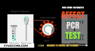 Vaccinated and Tested: How COVID-19 Vaccines Impact PCR Results