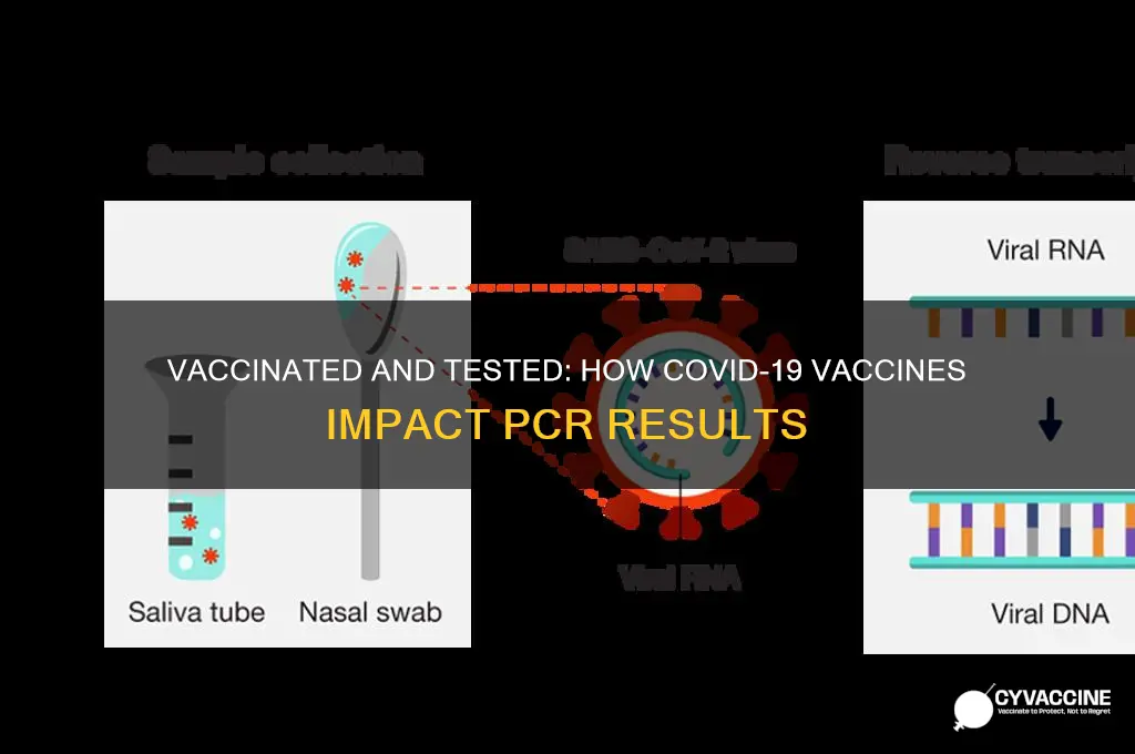 does being vaccinated affect pcr test