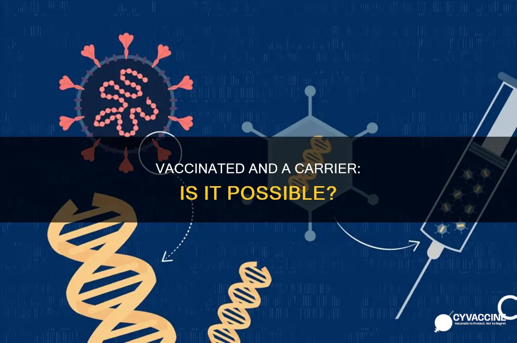 does being vaccinated mean you aren