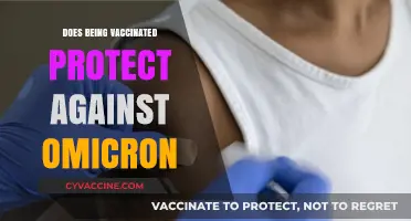 Vaccinated Against Omicron: Understanding Protection and Breakthrough Risks