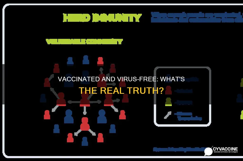 does being vaccinated stop the spread of the virus