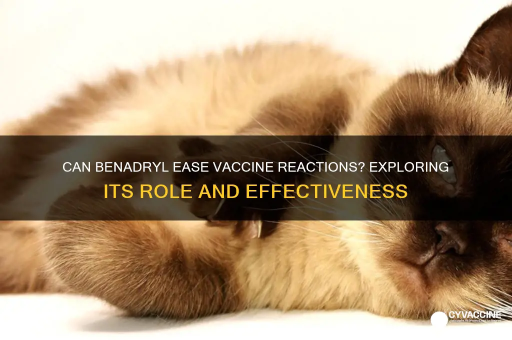 does benadryl help with vaccine reactions