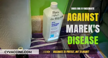 Big R's Marek's Disease Vaccination: What You Need to Know