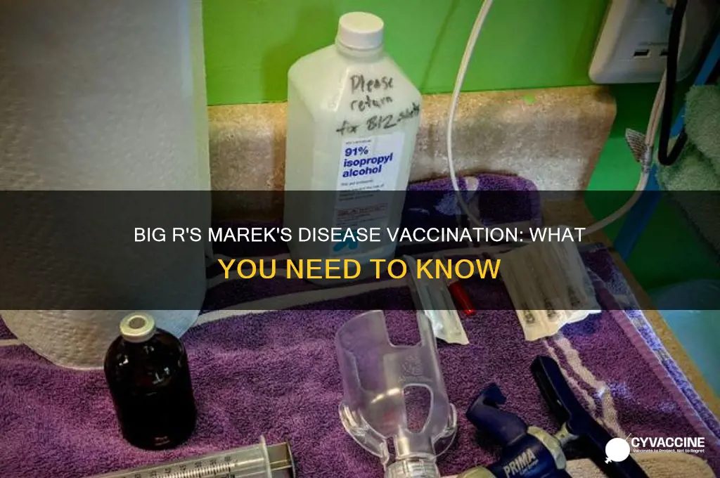does big r vaccinate against marek