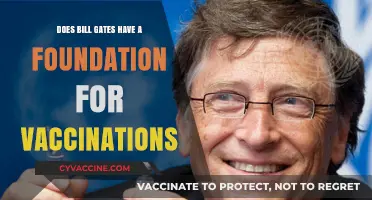 Bill Gates' Vaccine Philanthropy: A Foundation for Global Health