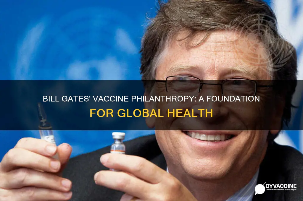 does bill gates have a foundation for vaccinations