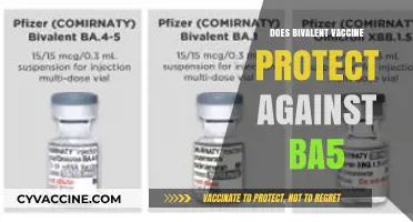 Bivalent Vaccine Efficacy: Does It Shield Against BA.5 Variant?