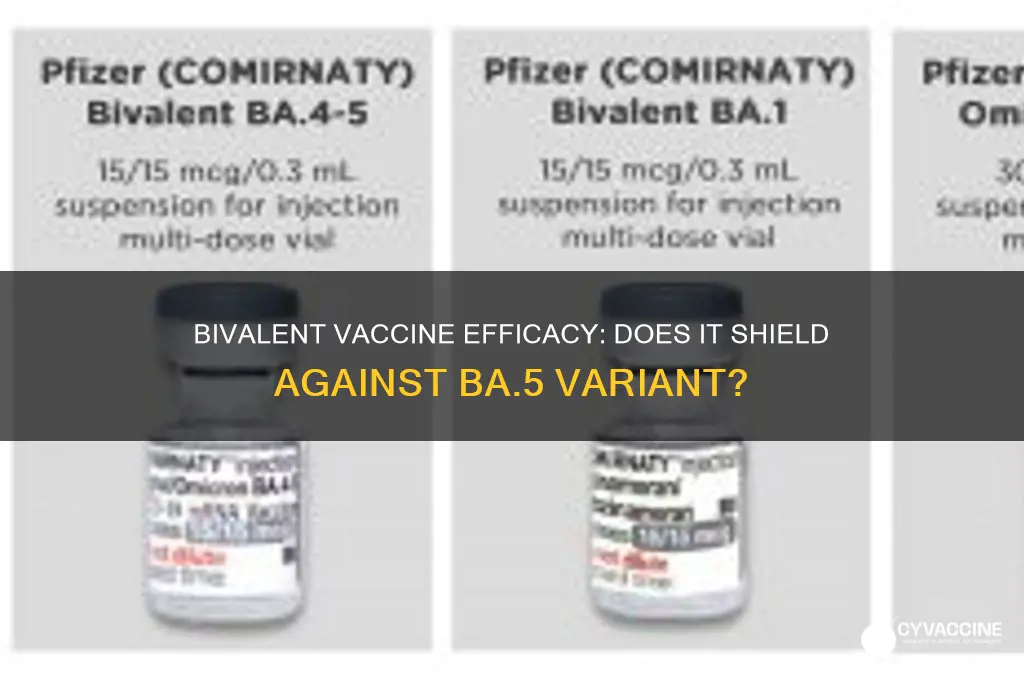 does bivalent vaccine protect against ba5