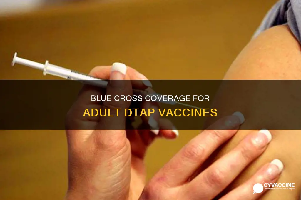 does blue cross pay for dtap vaccine for adults
