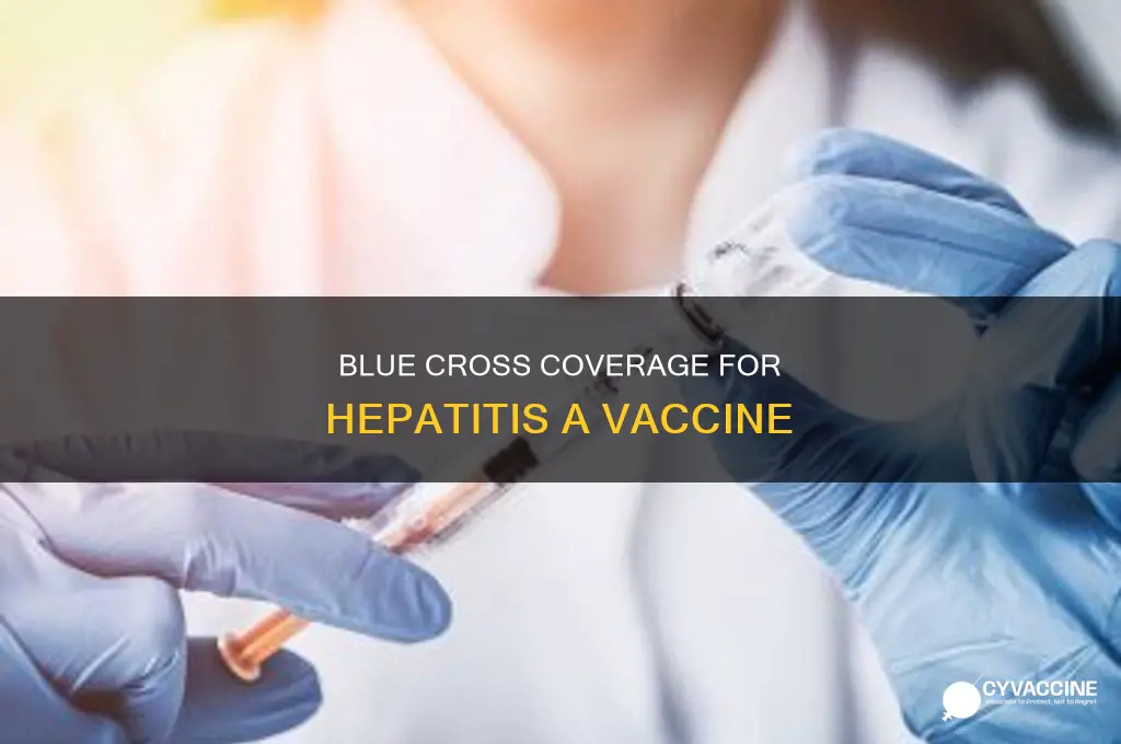 does blue cross pay for hepatitis a vaccine