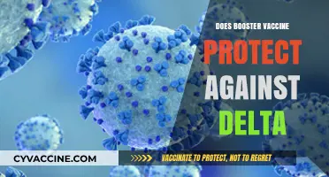 Booster Vaccine Effectiveness: Does It Shield Against Delta Variant?